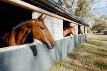 Load image into Gallery viewer, Flower Workshop 11th May