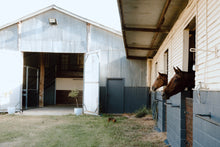 Load image into Gallery viewer, Flower Workshop 11th May