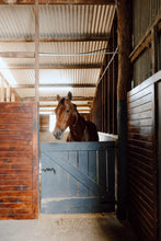 Load image into Gallery viewer, Flower Workshop 11th May